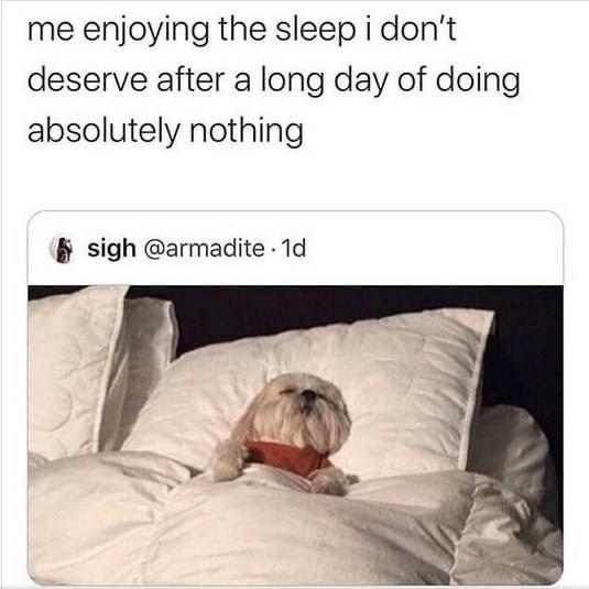 funny memes and cool pics - photo caption - me enjoying the sleep i don't deserve after a long day of doing absolutely nothing sigh .1d
