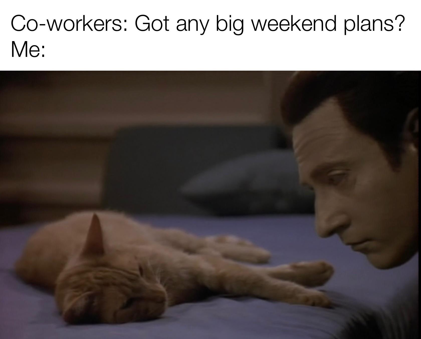 dank memes - photo caption - Coworkers Got any big weekend plans? Me