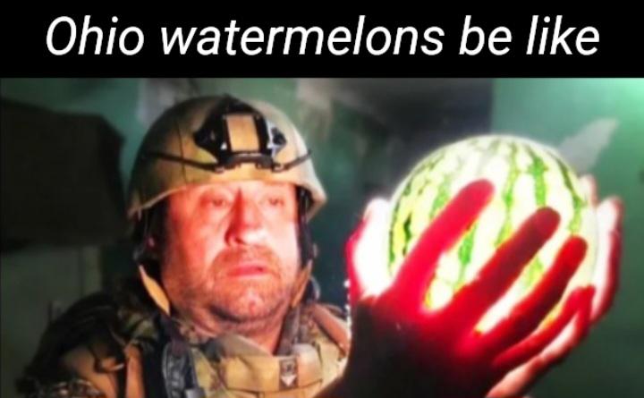dank memes - photo caption - Ohio watermelons be 4