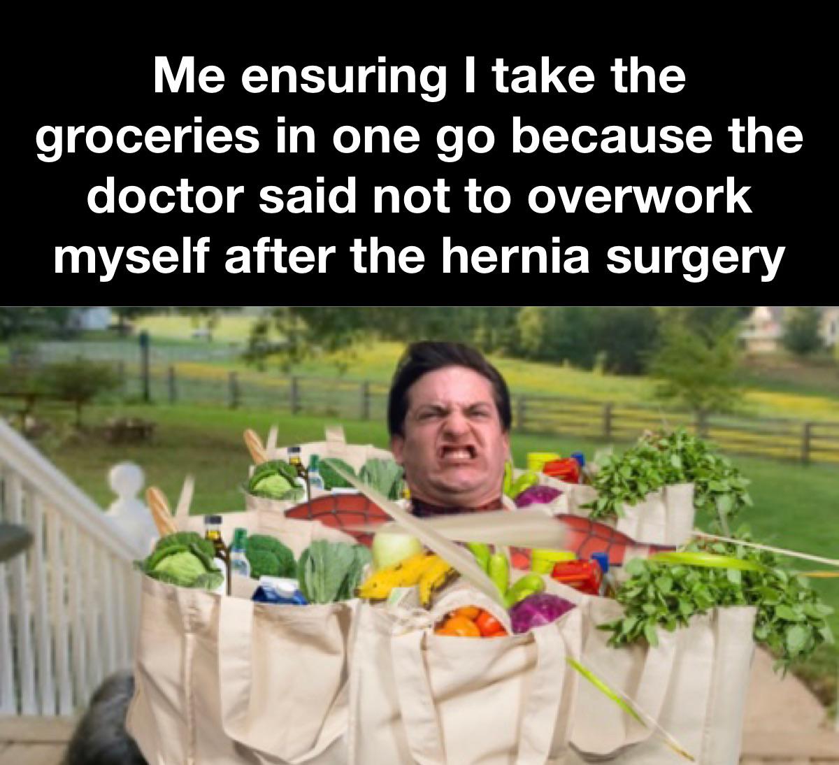 dank memes - sign - Me ensuring I take the groceries in one go because the doctor said not to overwork myself after the hernia surgery