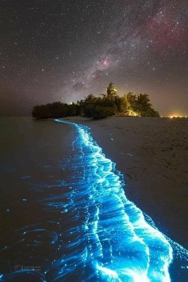 bioluminescent waves - 10. Fate Horlek Khaywoojare