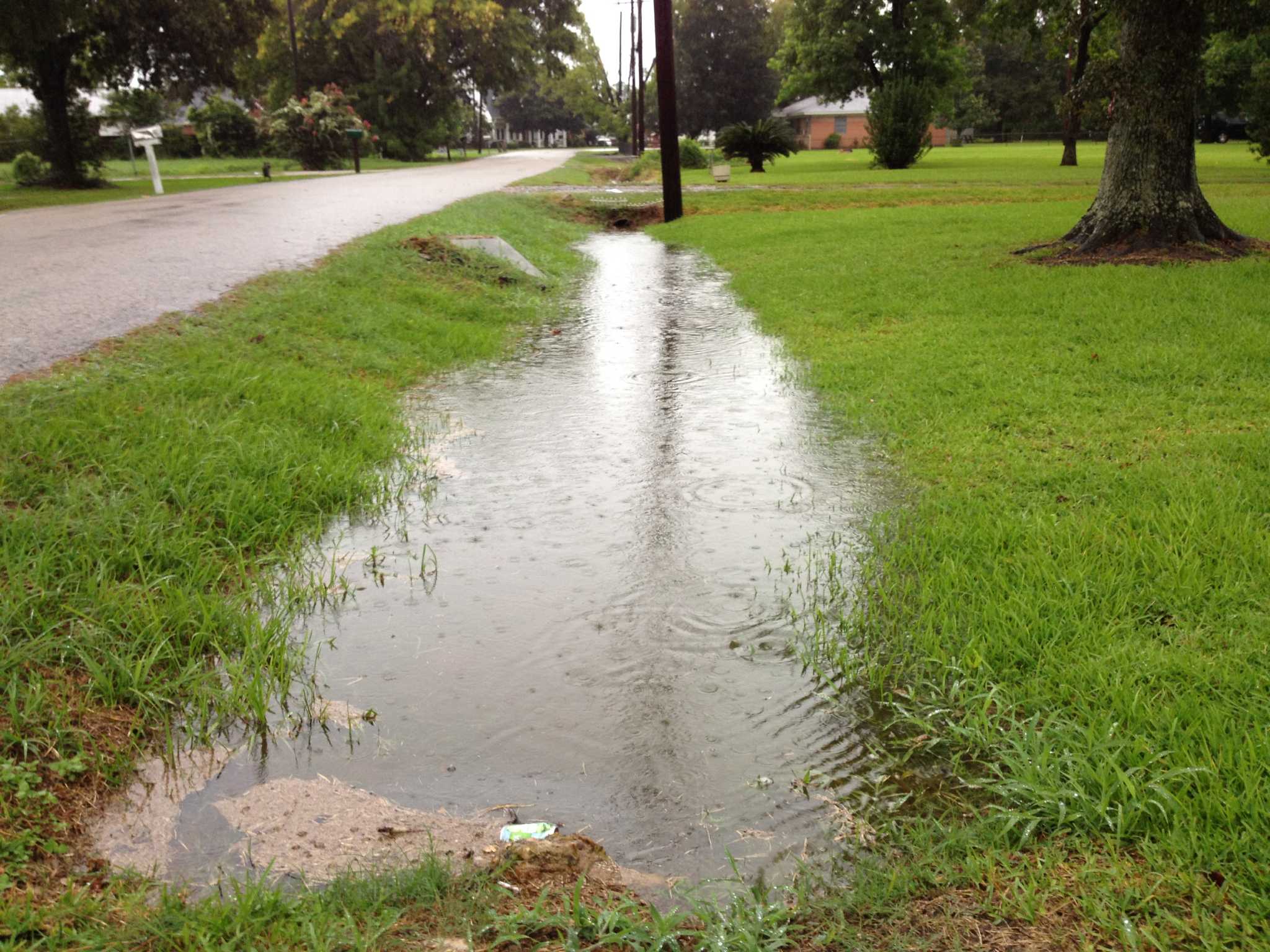 Dangerous things from Millennial's childhood fix standing water in ditch - Ita 3334