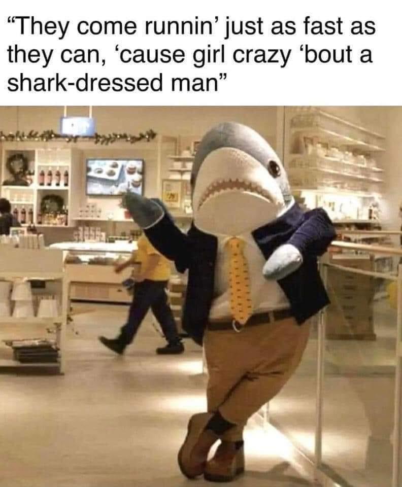 dank memes - "They come runnin' just as fast as they can, 'cause girl crazy 'bout a sharkdressed man" 229 L