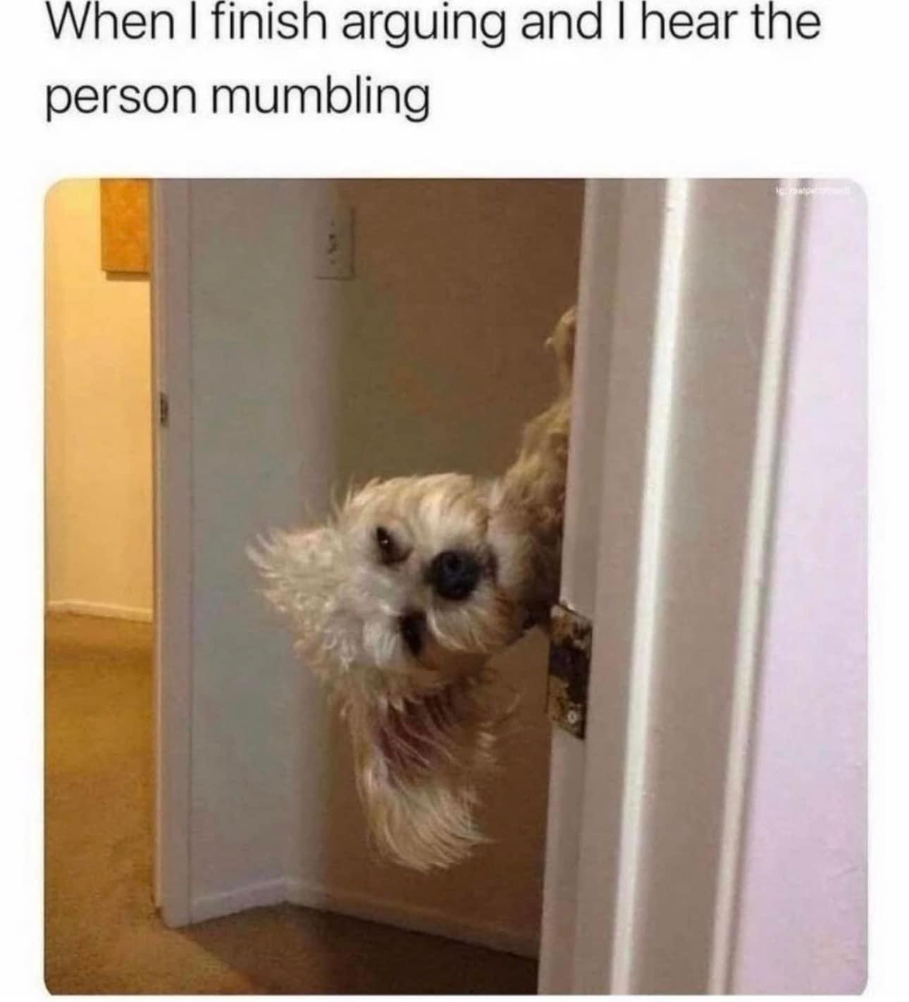 dank memes - dog - When I finish arguing and I hear the person mumbling 16 Date