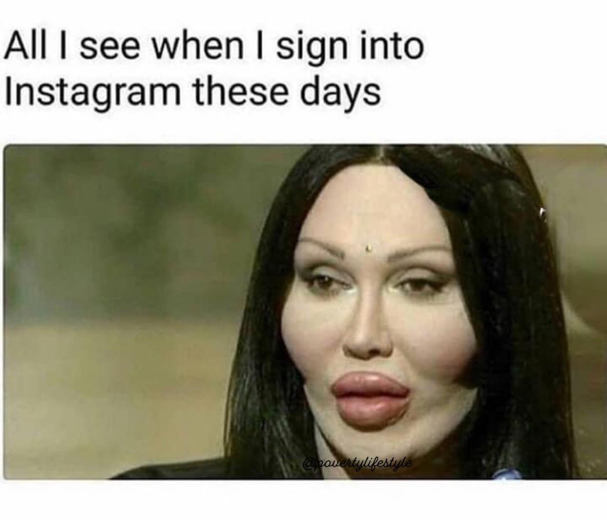 20 Fresh Memes to Brighten Up Your Feed 