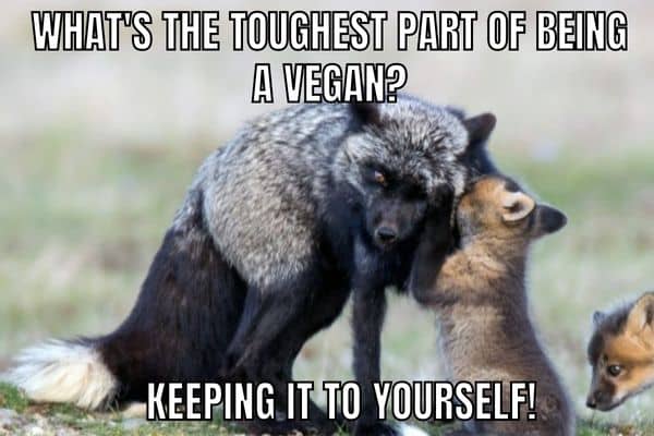 dank memes - dad jokes meme - What'S The Toughest Part Of Being A Vegan? Keeping It To Yourself!