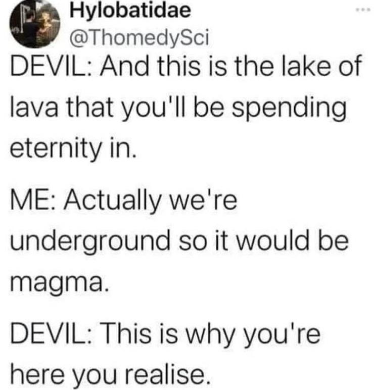 funny tweets - paper - Hylobatidae Devil And this is the lake of lava that you'll be spending eternity in. Me Actually we're underground so it would be magma. Devil This is why you're here you realise.