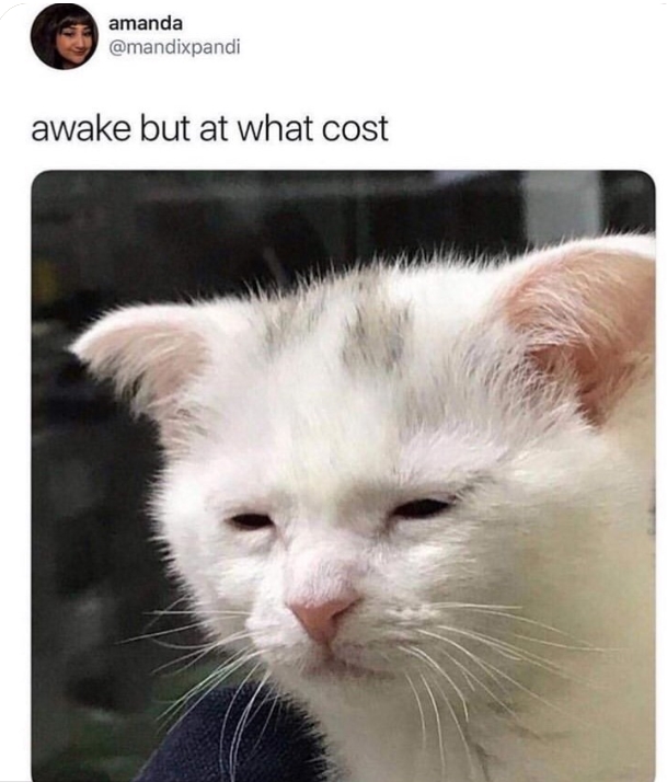 funny tweets - tired cat meme - amanda awake but at what cost