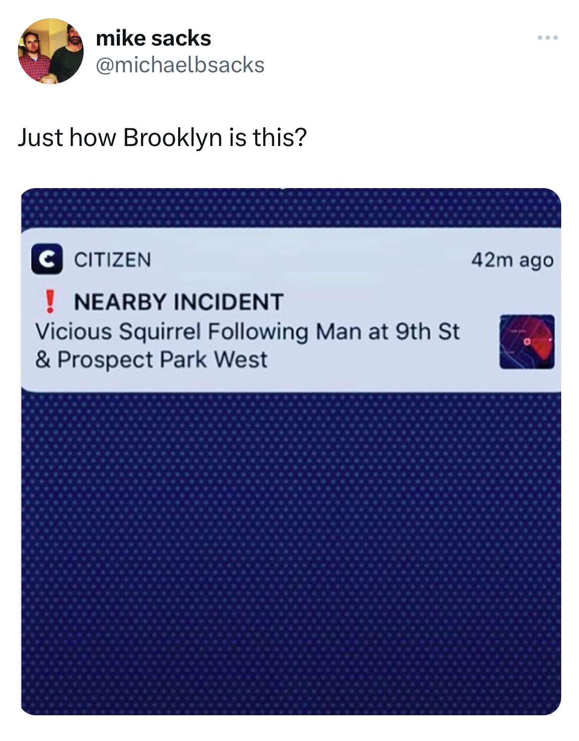 hall of fame tweets -multimedia - mike sacks Just how Brooklyn is this? Citizen ! Nearby Incident Vicious Squirrel ing Man at 9th St & Prospect Park West 42m ago