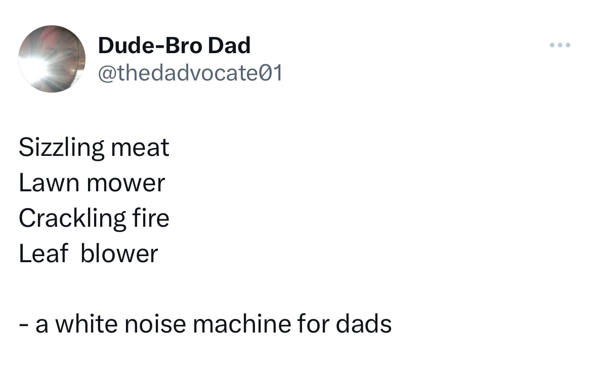 hall of fame tweets -Funny meme - DudeBro Dad 1 Sizzling meat Lawn mower Crackling fire Leaf blower a white noise machine for dads