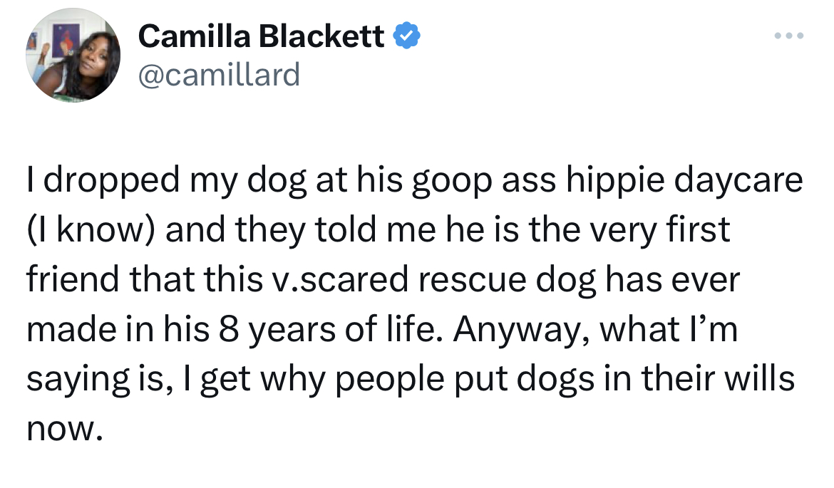 hall of fame tweets -wisdoms - Camilla Blackett I dropped my dog at his goop ass hippie daycare I know and they told me he is the very first friend that this v.scared rescue dog has ever made in his 8 years of life. Anyway, what I'm saying is, I get why p