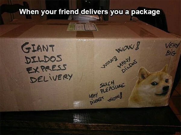 spicy memes - wow so much dildos - When your friend delivers you a package Giant Dildos Ex Press Delivery wow! Many Dildos wow! Such Very Pleasure Discreet Wow! Very Big