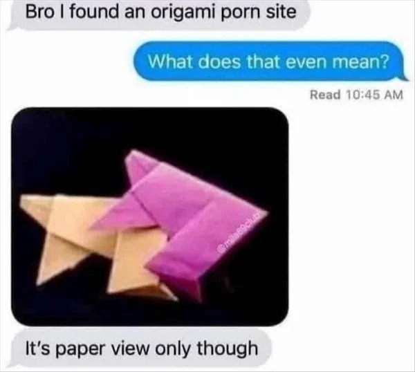 spicy memes - origami - Bro I found an origami porn site What does that even mean? Read It's paper view only though