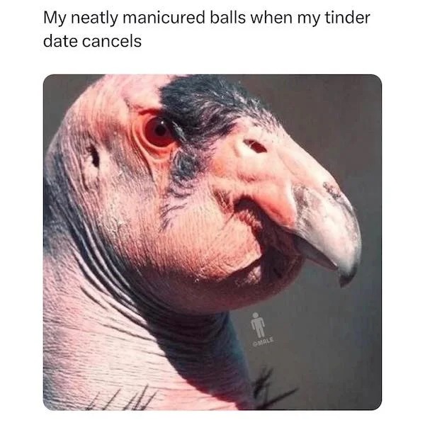 spicy memes - california condor - My neatly manicured balls when my tinder date cancels Omale