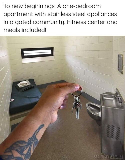 dank memes and pics - To new beginnings. A onebedroom apartment with stainless steel appliances in a gated community. Fitness center and meals included! Seriously Strange