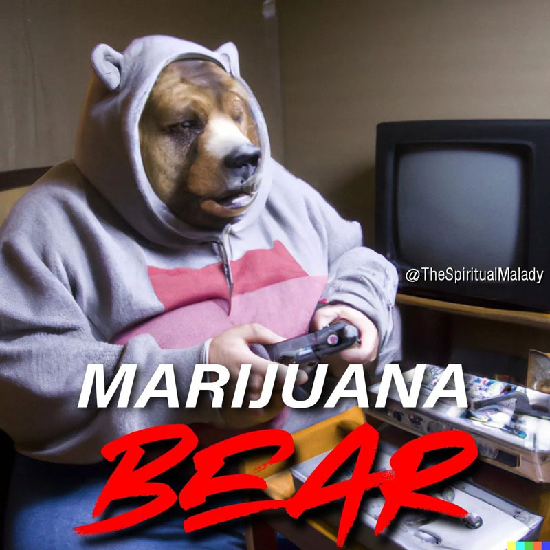 dank memes and pics - grizzly bear playing video games - Malady Marijuana Be