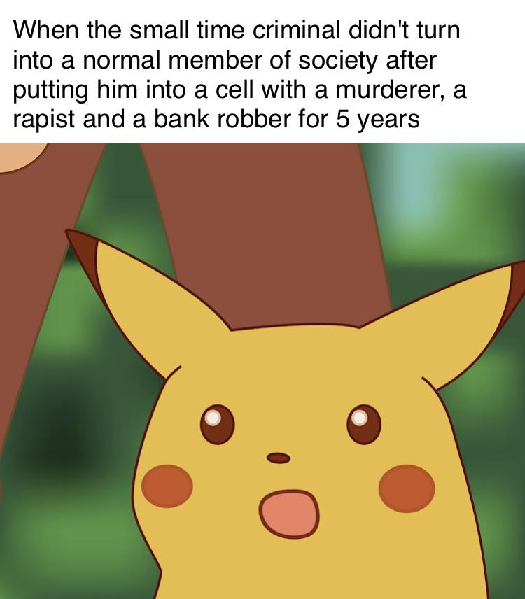 funny memes and pcis - Funny meme - When the small time criminal didn't turn into a normal member of society after putting him into a cell with a murderer, a rapist and a bank robber for 5 years O