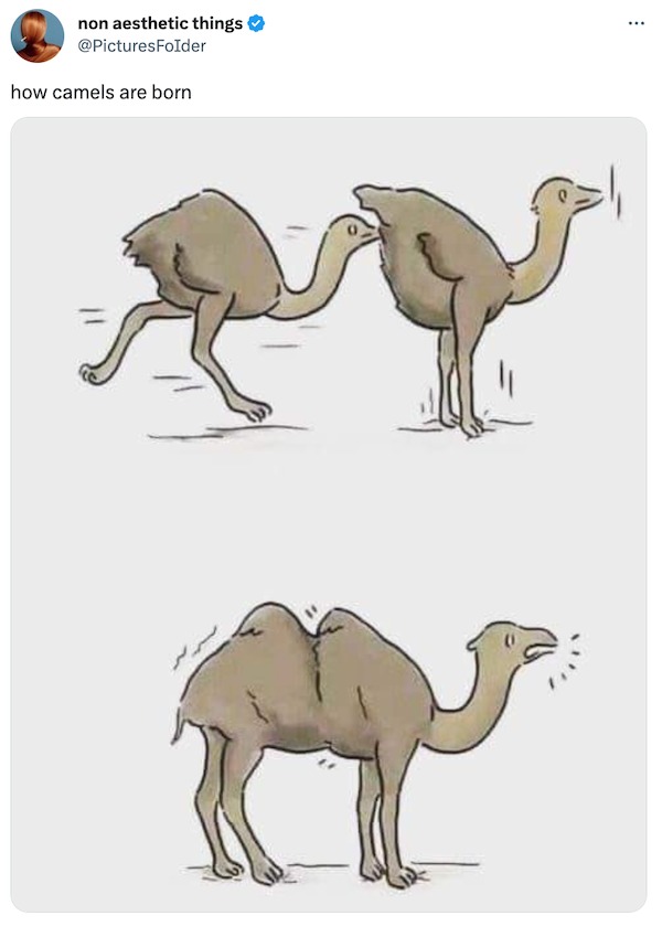 dank memes - everyday we stray further from god meme - non aesthetic things how camels are born