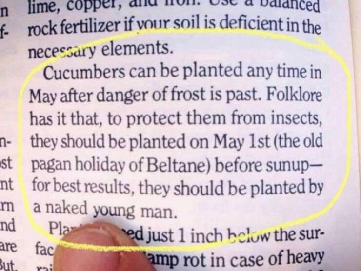Monday Morning Randomness - smile quotes - n lime, coppe f rock fertilizer if your soil is deficient in the necessary elements. n st nt rn nd are But. Cucumbers can be planted any time in May after danger of frost is past. Folklore has it that, to protect