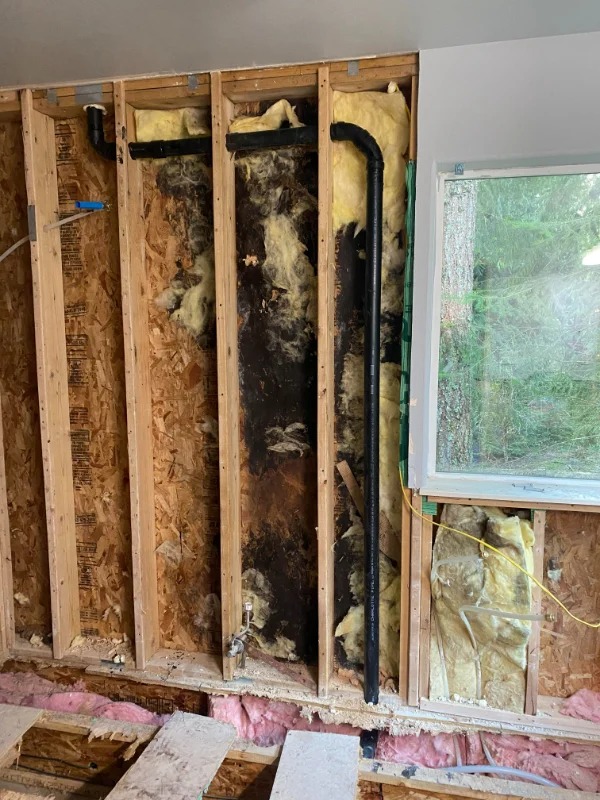 “Yesterday, I was excited to remodel the bathroom, then discovered the black mold.”