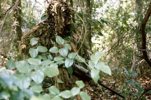 terrifying stories from the woods - do ghillie suits work
