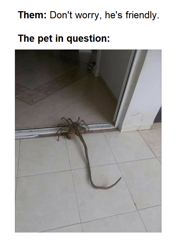 funny memes - Them Don't worry, he's friendly. The pet in question