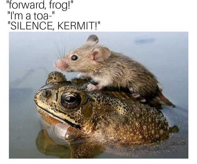 funny memes - unity in animals - "forward, frog!" "I'm a toa" "Silence, Kermit!"