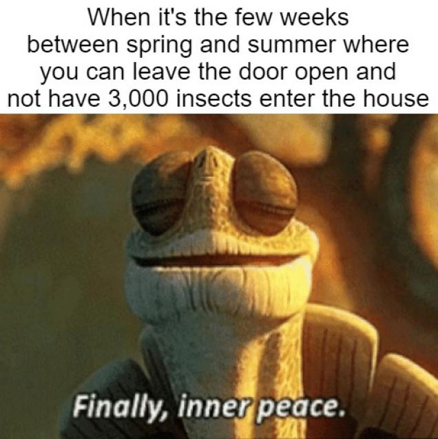 funny memes - introverts meme funny - When it's the few weeks between spring and summer where you can leave the door open and not have 3,000 insects enter the house Finally, inner peace.