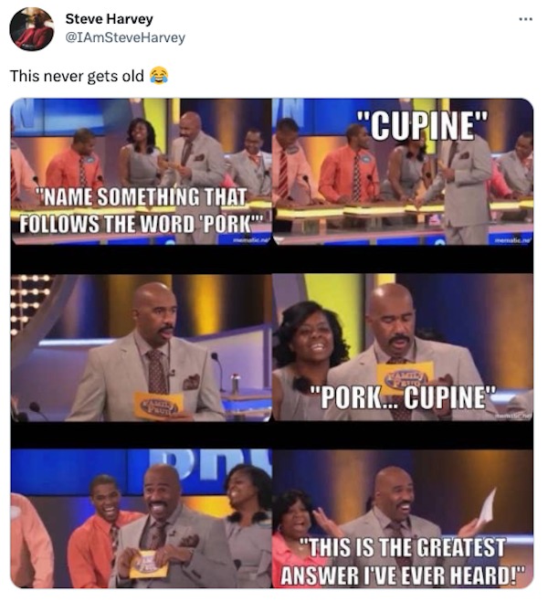 funny tweets - media - Steve Harvey Harvey This never gets old "Name Something That s The Word 'Pork"" "Cupine" mematic.ne Amil Stto "Pork... Cupine" "This Is The Greatest Answer I'Ve Ever Heard!"