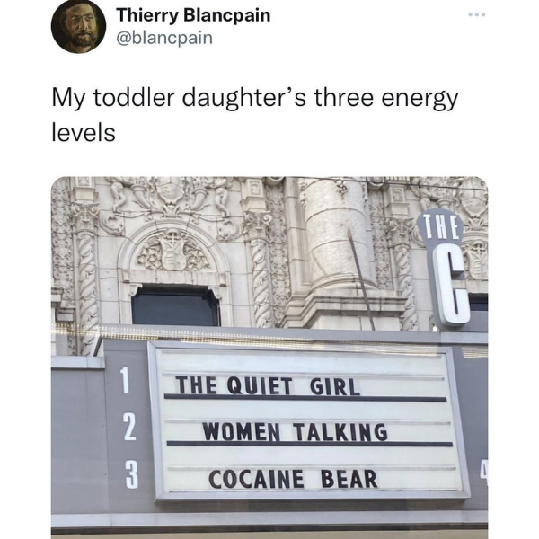 funny memes and tweets - Funny meme - Thierry Blancpain My toddler daughter's three energy levels 1 2 3 The Quiet Girl Women Talking Cocaine Bear The