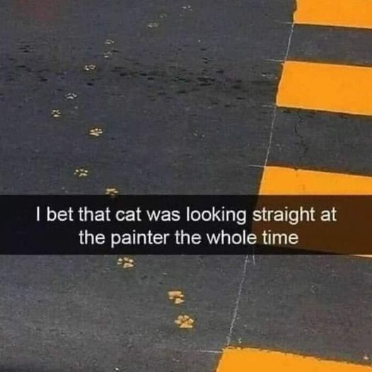 funny memes and tweets - asphalt - I bet that cat was looking straight at the painter the whole time