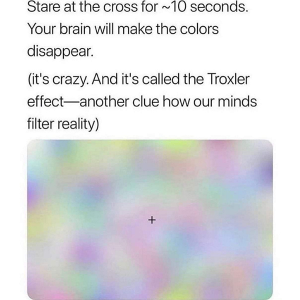 funny memes and tweets - angle - Stare at the cross for ~10 seconds. Your brain will make the colors disappear. it's crazy. And it's called the Troxler effect another clue how our minds filter reality