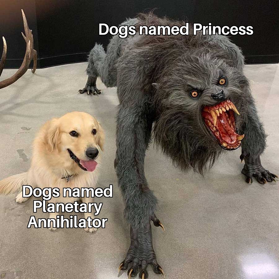 funny memes - minecraft memes funny - Dogs named Princess Dogs named Planetary Annihilator