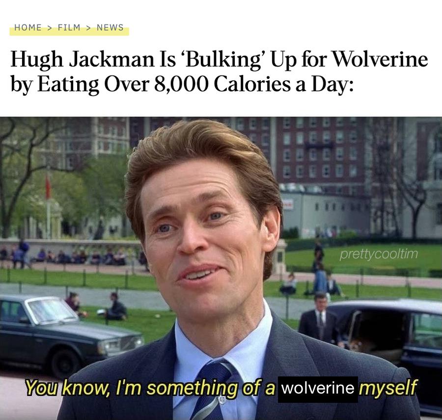 funny memes - Meme - Home > Film > News Hugh Jackman Is 'Bulking' Up for Wolverine by Eating Over 8,000 Calories a Day prettycooltim You know, I'm something of a wolverine myself