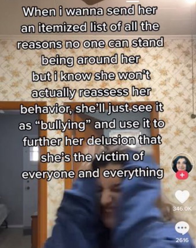 wild tiktok screenshots - photo caption - When i wanna send her an itemized list of all the reasons no one can stand being around her but i know she won't actually reassess her behavior, she'll just see it as "bullying" and use it to further her delusion 