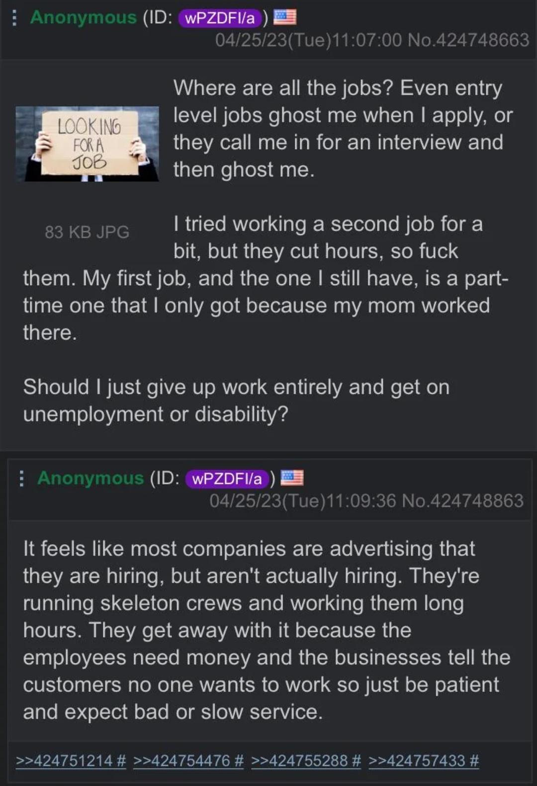 anitwork memes - screenshot - Anonymous Id wPZDFIa Looking For A Job 042523Tue00 No.424748663 Where are all the jobs? Even entry level jobs ghost me when I apply, or they call me in for an interview and then ghost me. I tried working a second job for a bi