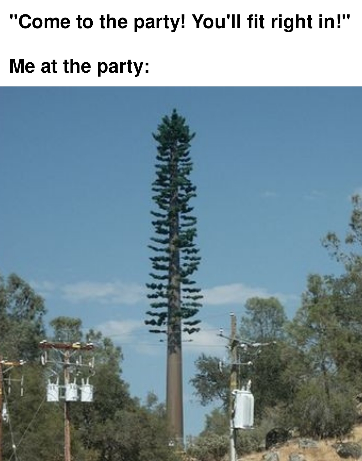 37 funny memes and pics -  cell phone towers - "Come to the party! You'll fit right in!" Me at the party