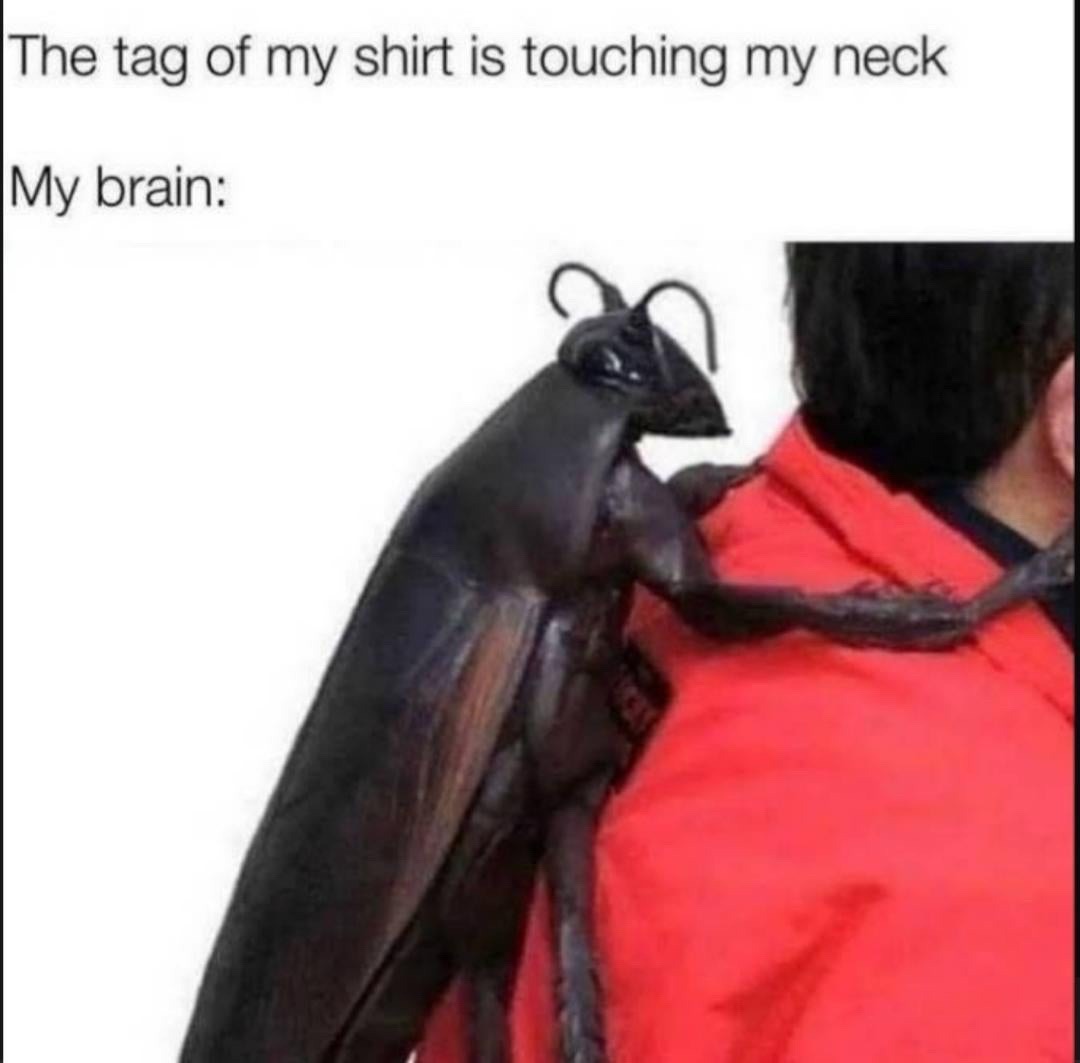 37 funny memes and pics -  tag of my shirt touching my neck - The tag of my shirt is touching my neck My brain