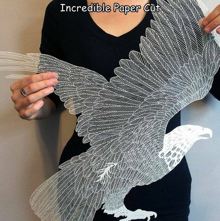 fascinating photos of unique things - beautiful paper design cutting - Incredible Paper Cut