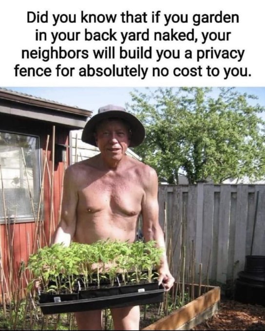 funny memes and tweets - Garden - Did you know that if you garden in your back yard naked, your neighbors will build you a privacy fence for absolutely no cost to you. Pe