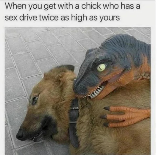 spicy memes and pics - When you get with a chick who has a sex drive twice as high as yours