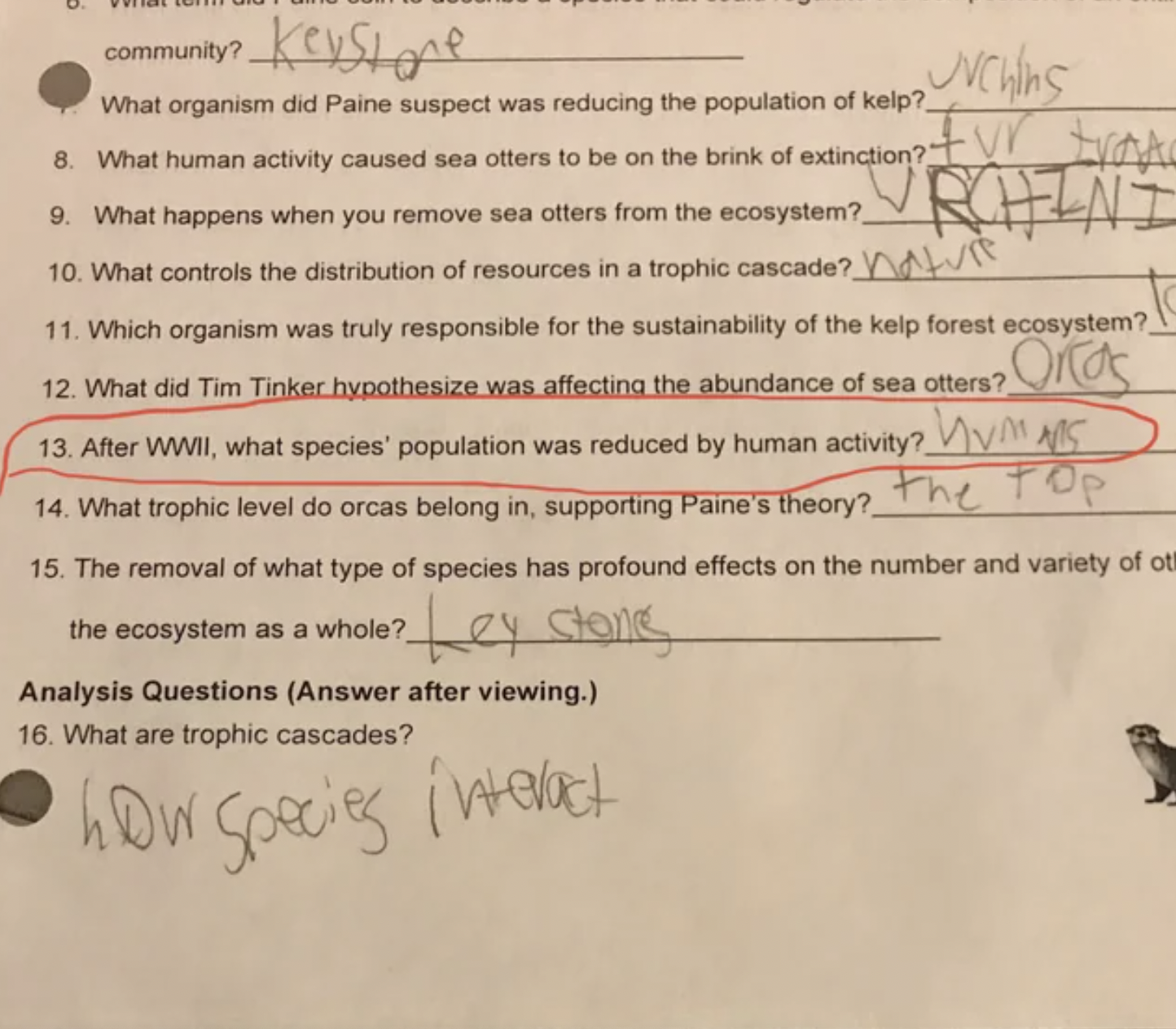 funny facepalms - handwriting - Keystone What organism did Paine suspect was reducing the population of kelp? 8. What human activity caused sea otters to be on the brink of extinction?