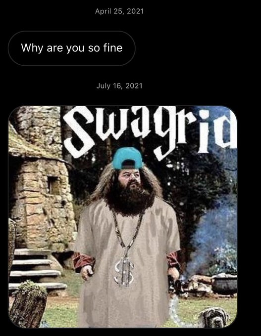 unhinged dms from twitter - hagrid harry potter - Why are you so fine Swagrid