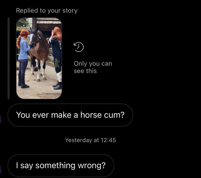 unhinged dms from twitter - photo caption - Replied to your story D Only you can see this You ever make a horse cum? Yesterday at I say something wrong?