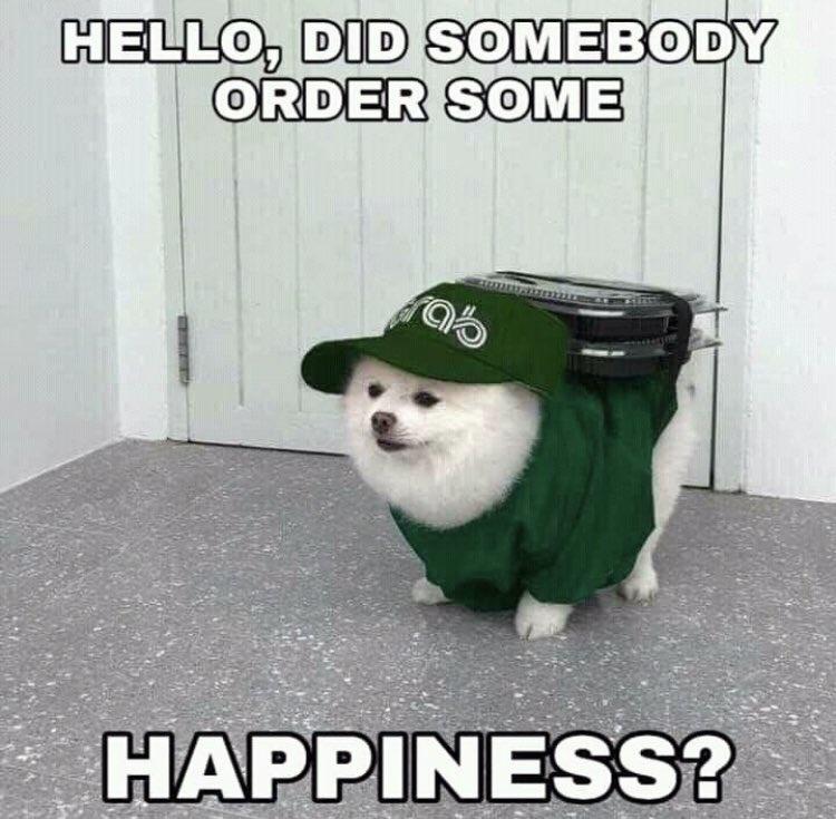 monday morning randomness - wholesome cheer up - Hello, Did Somebody Order Some 95 Happiness?