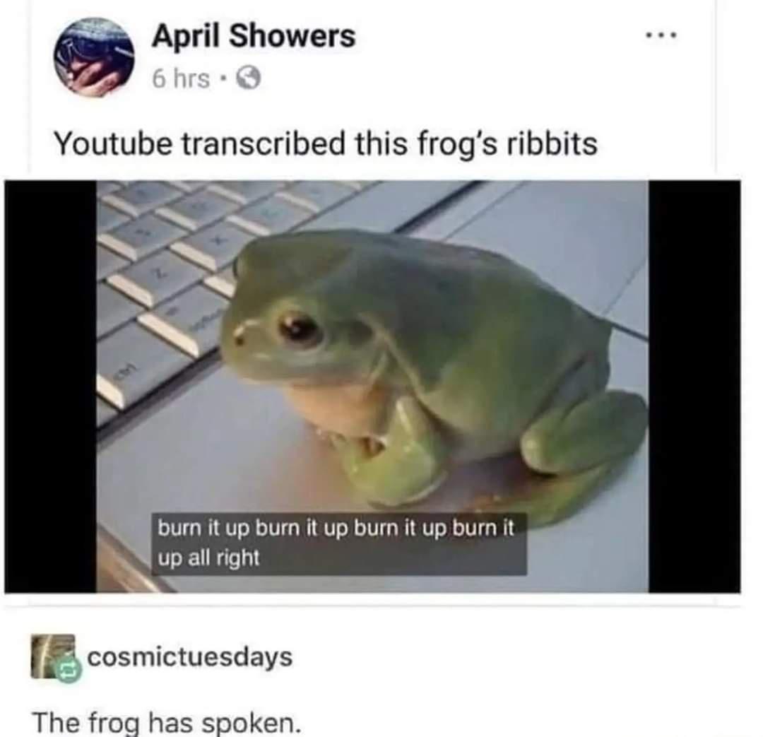 monday morning randomness - funny frog - April Showers 6 hrs 3 Youtube transcribed this frog's ribbits burn it up burn it up burn it up burn it up all right cosmictuesdays The frog has spoken.