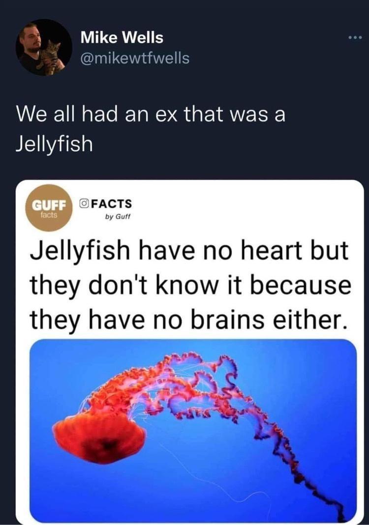 monday morning randomness - water - Mike Wells We all had an ex that was a Jellyfish Guff Ofacts facts by Guff Jellyfish have no heart but they don't know it because they have no brains either.