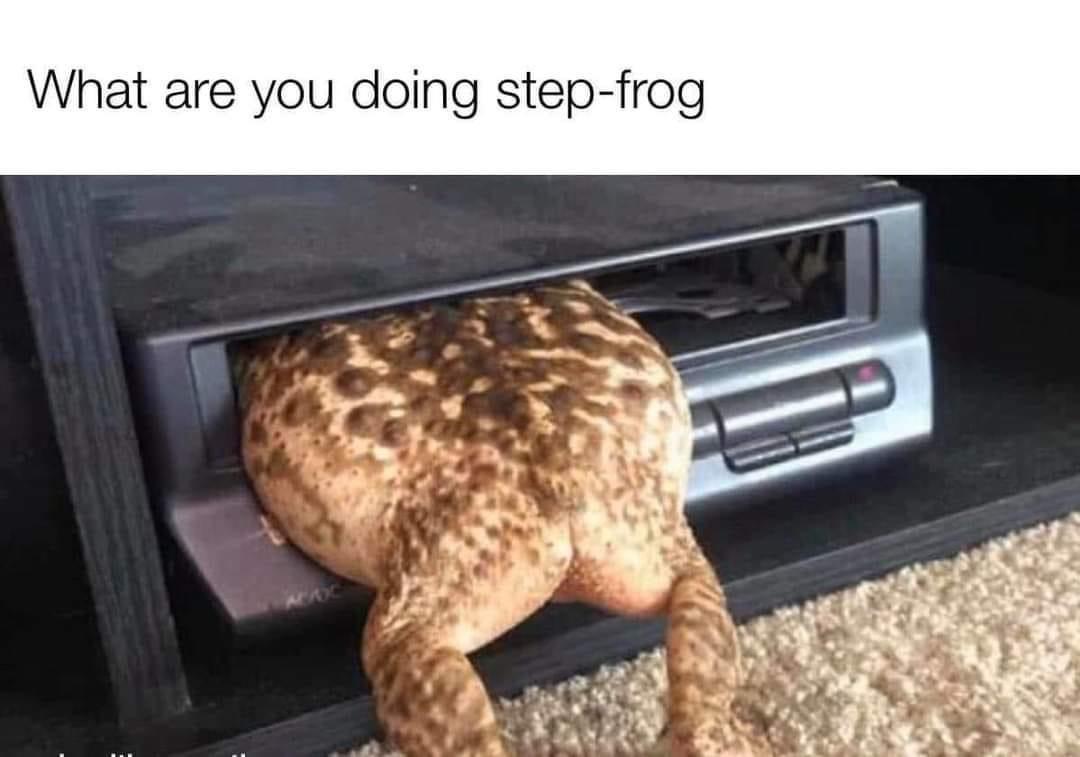 monday morning randomness - step frog - What are you doing stepfrog