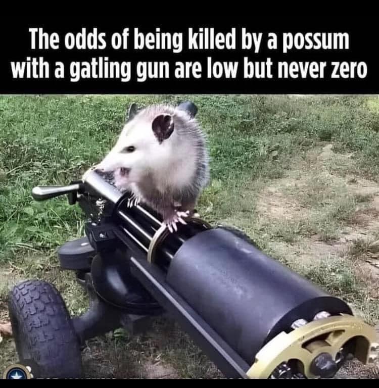monday morning randomness - chance is never zero - The odds of being killed by a possum with a gatling gun are low but never zero 35337