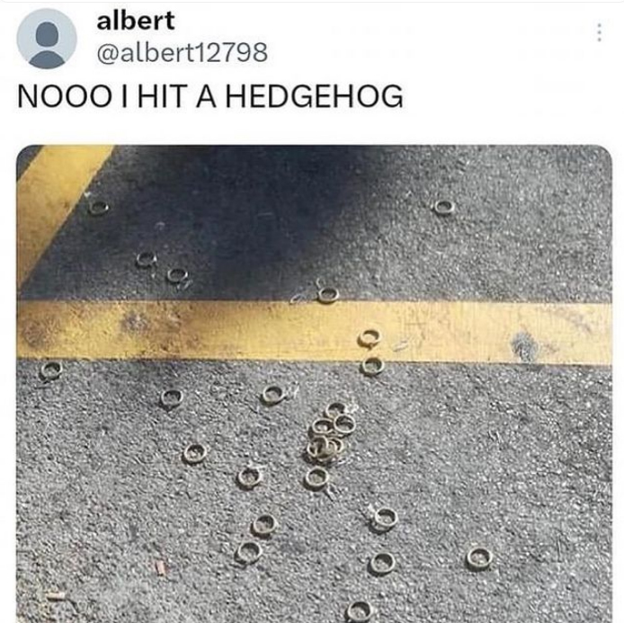 funny memes and pics - ran over a hedgehog - albert Nooo I Hit A Hedgehog 00 00 250 00